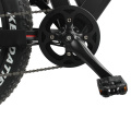 dynavolt 7 speed double battery fat tire electric mountainbike